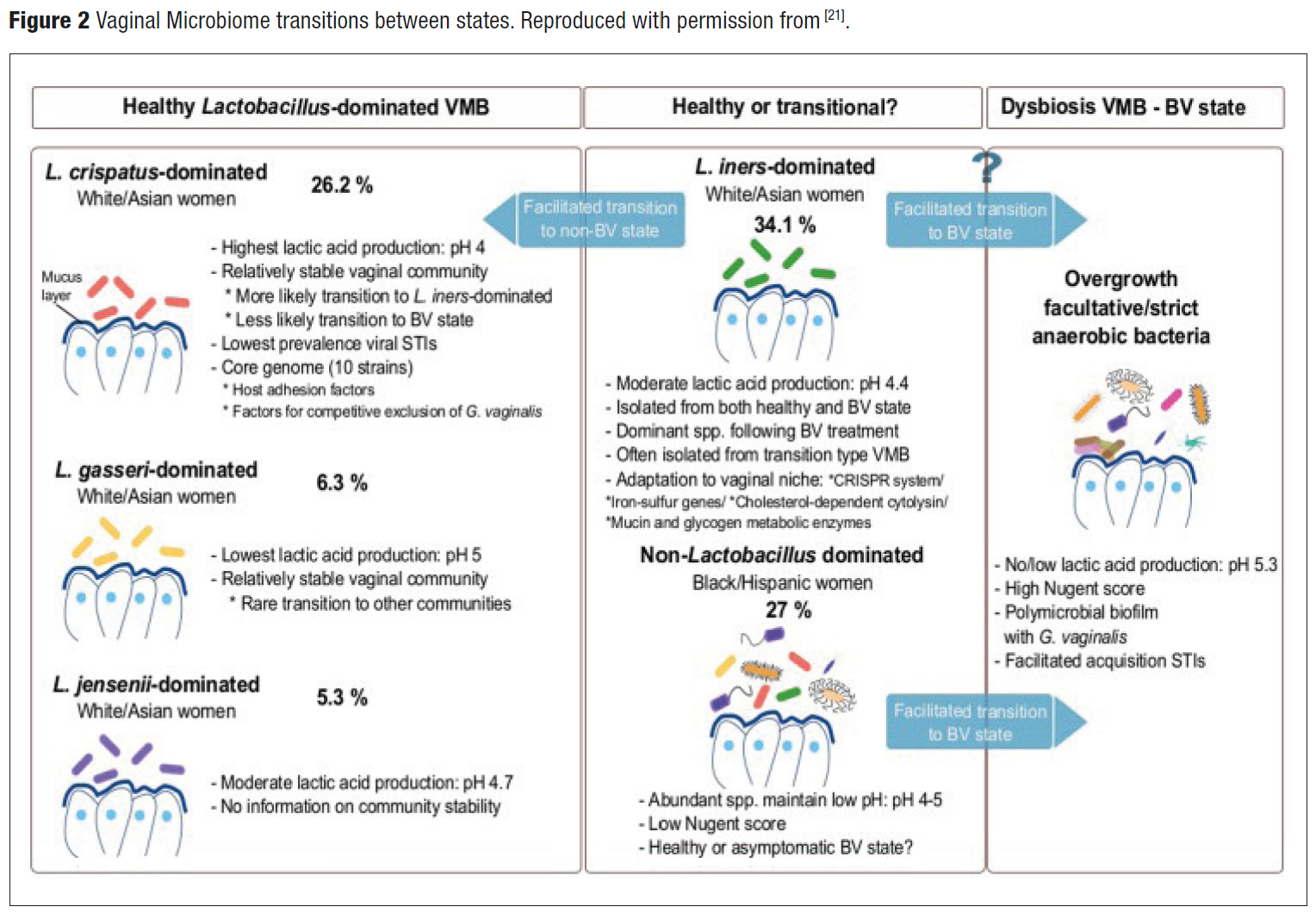 Vaginal Microbiome And A Prospective Analysis Of Vaginal Microbiome Testing And Personalized